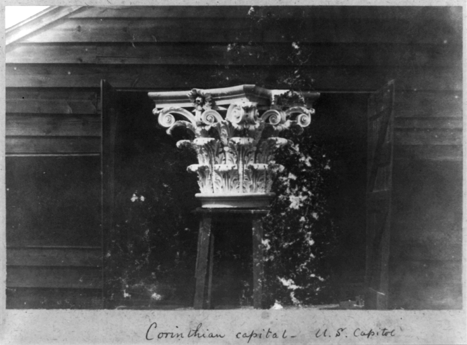 Corinthian capital, U.S. Capitol, [between 1859 and 1868] — historic photograph