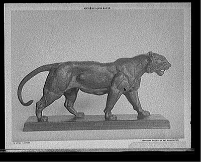 Lioness