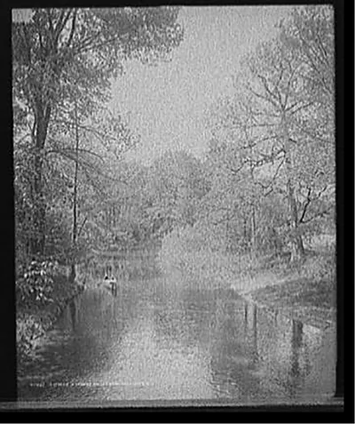 A Stream in Genesee Valley Park, Rochester, N.Y.