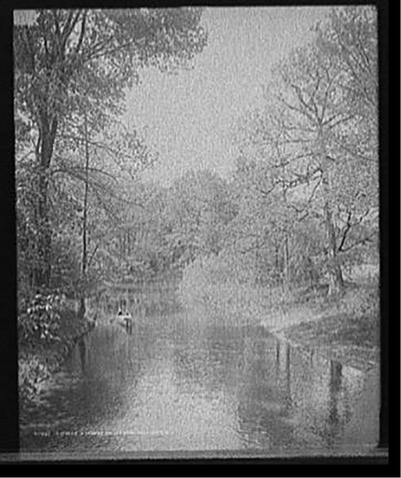 A Stream in Genesee Valley Park, Rochester, N.Y., c1908. — historic photograph