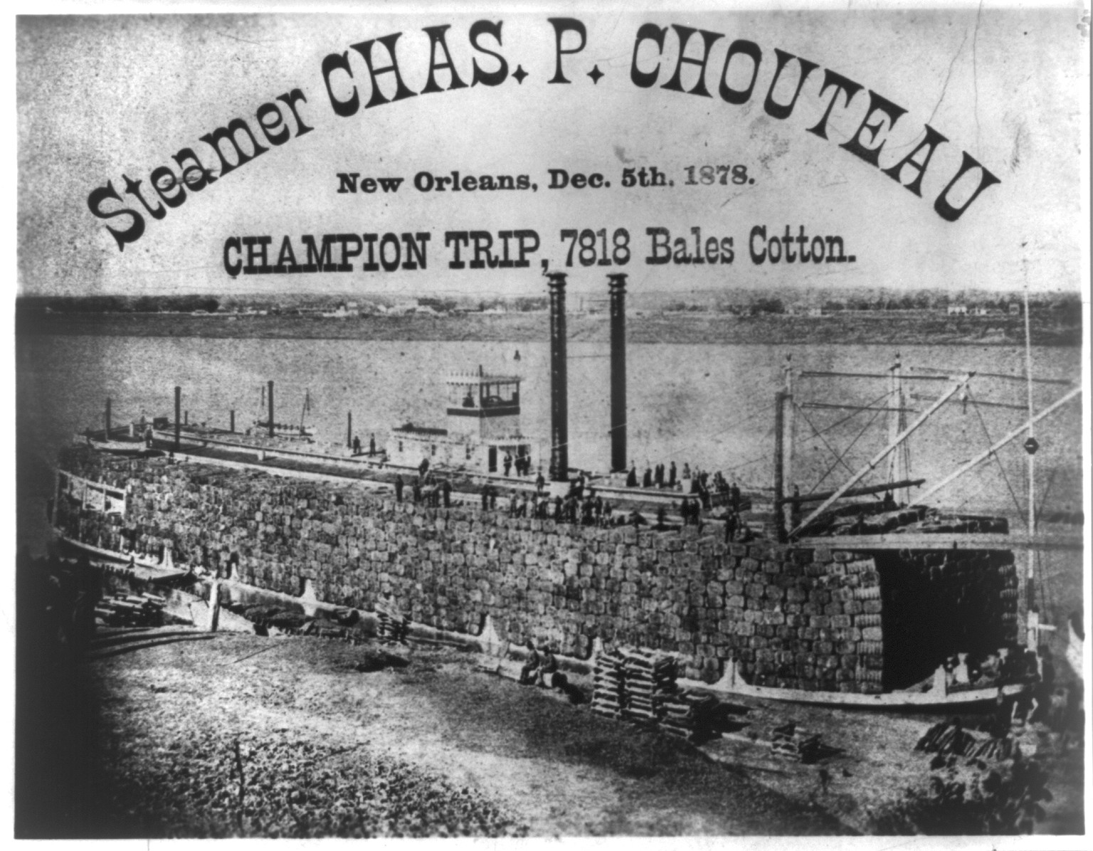 [CHARLES P. CHOUTEAU, New Orleans, Dec. 5, 1878. Champion trip, 7818 Bales Cotton] — historic photograph