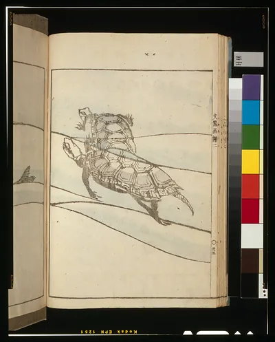 Turtle illustration on a Japanese woodblock book page
