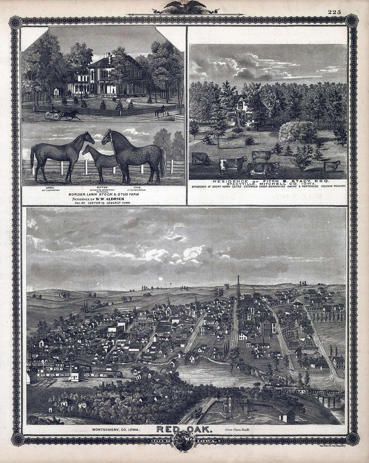 Red Oak, Iowa, 1875, 1875 — antique map
