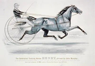 Celebrated trotting horse Henry, driven by John Murphy: As he appeared at Prospect Park, L.I. June 27th 1872, in his trot with Goldsmith Maid and Lucy