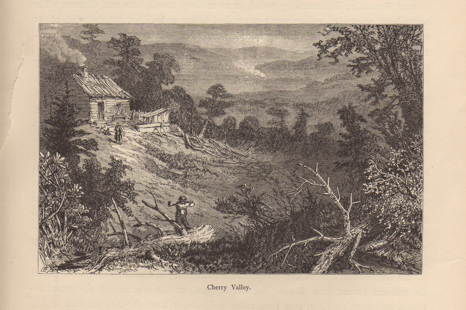 Cherry Valley: log cabin on a hillside, engraving — antique engraving