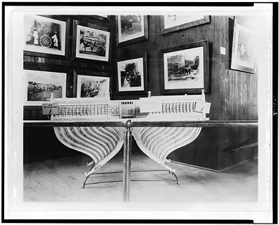 [Elephants ivory saddle, World's Columbian Exposition, Chicago Ill.]