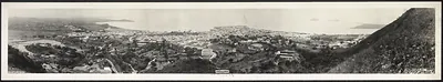 Panoramic photograph of a coastal city from a hillside