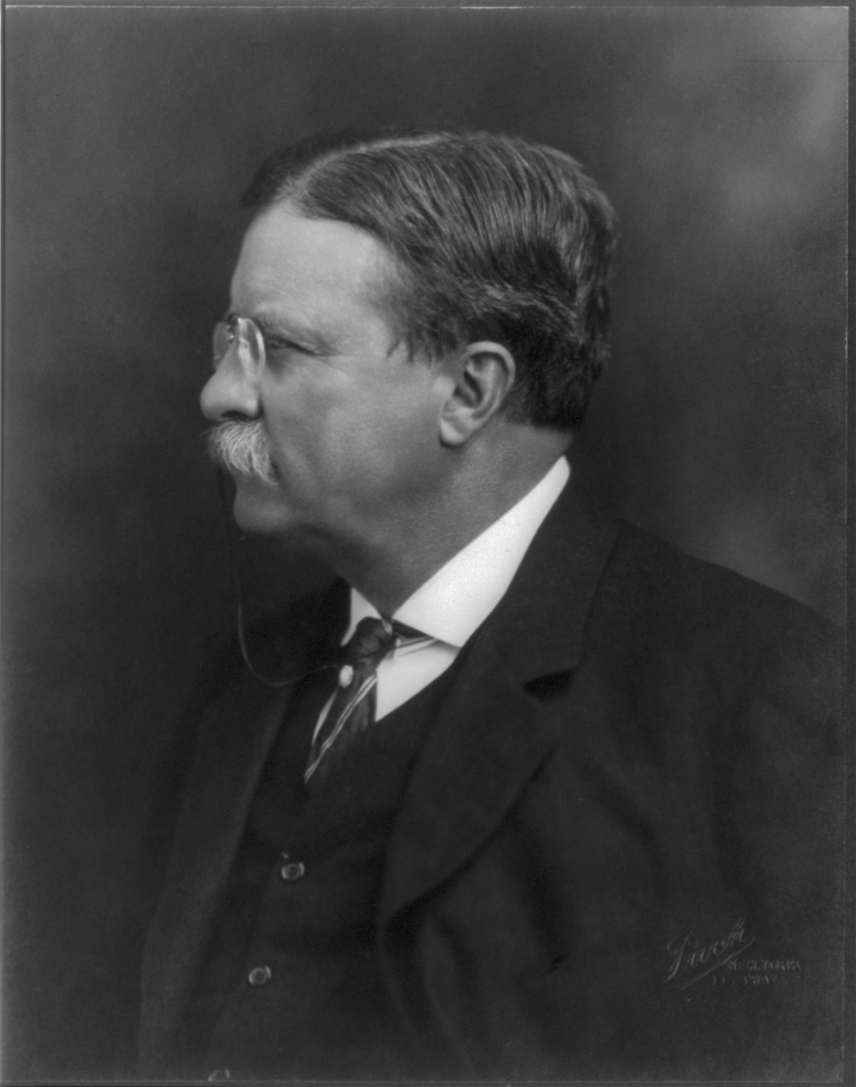 [Theodore Roosevelt, head-and-shoulders portrait, left profile] / Pach, New York., c1913. — historic photograph