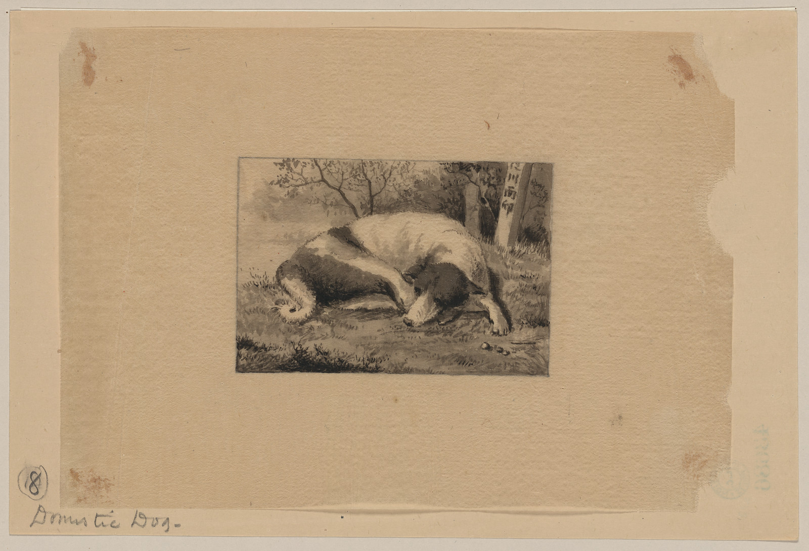 [Japanese drawing], 1750 — historic drawing