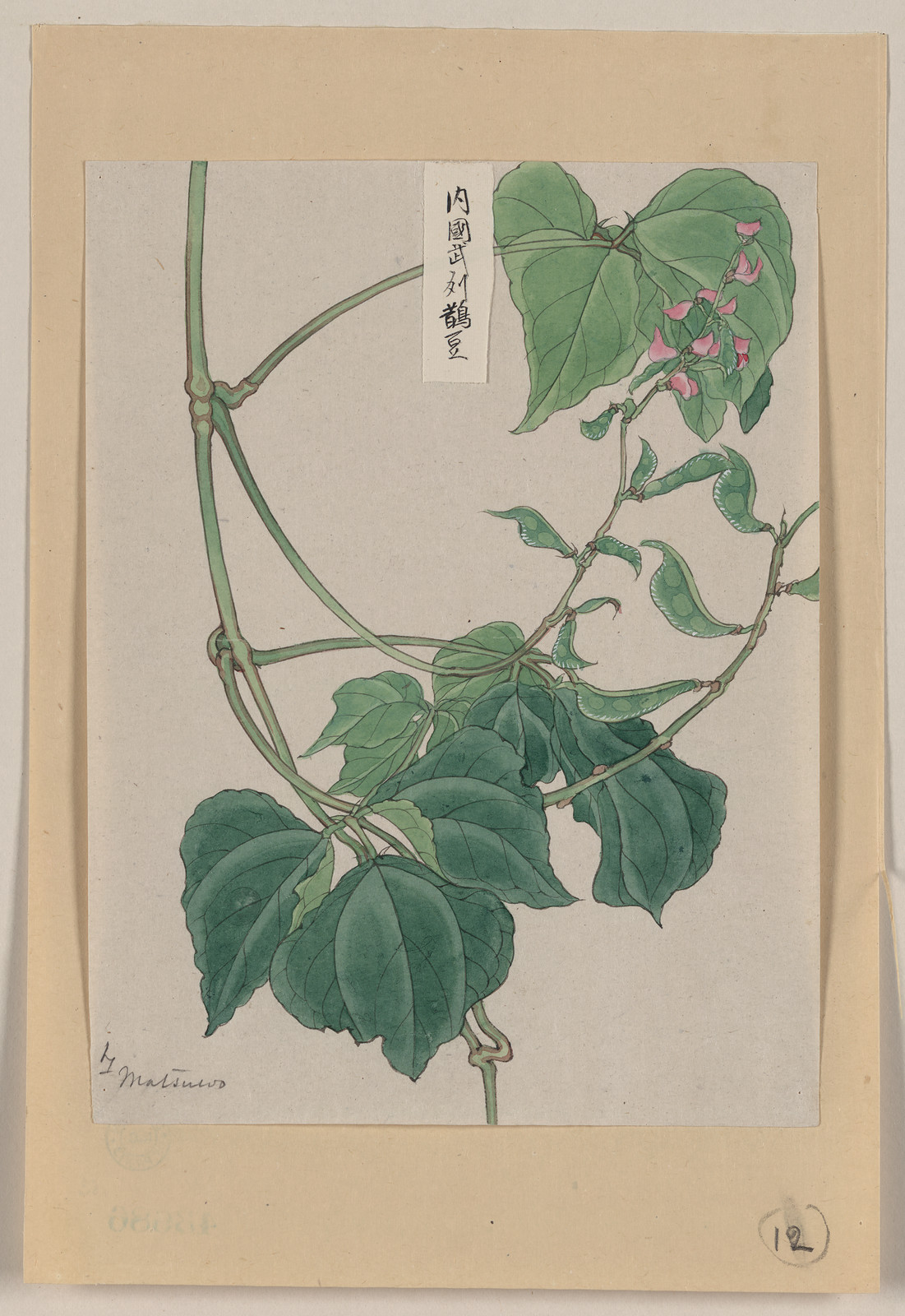 [Japanese drawing], 1750 — historic drawing