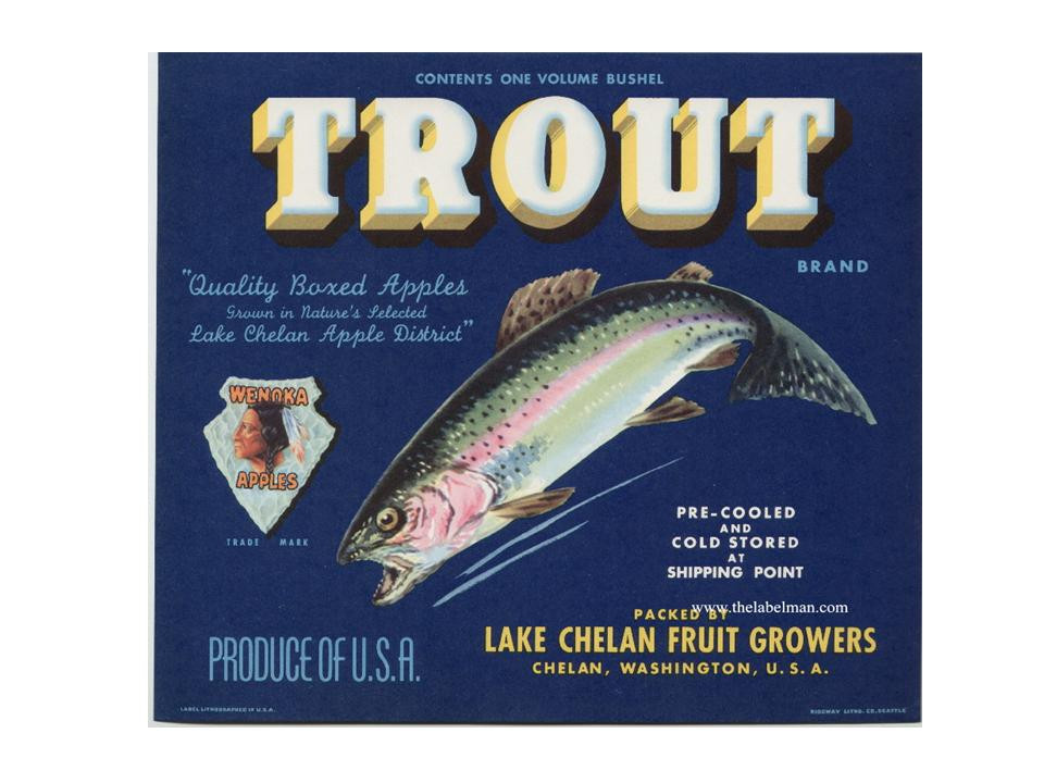 Trout Brand Apples crate label, Lake Chelan Fruit Growers — historic image