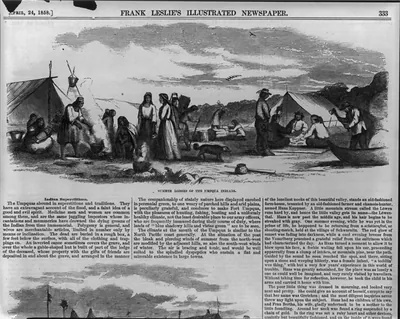 [Umpqua Indians of Oregon Territory: summer lodges of the Umpqua Indians"]"