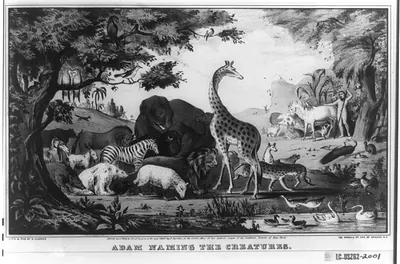 Adam naming the creatures/Adam Llamo los Animales