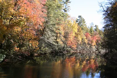 Autumn foliage reflected on a calm river