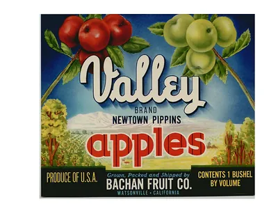Valley Brand Newtown Pippins Apples crate label