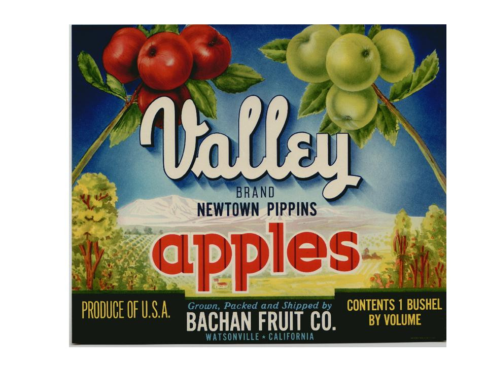 Valley Brand Newtown Pippins Apples crate label — historic image