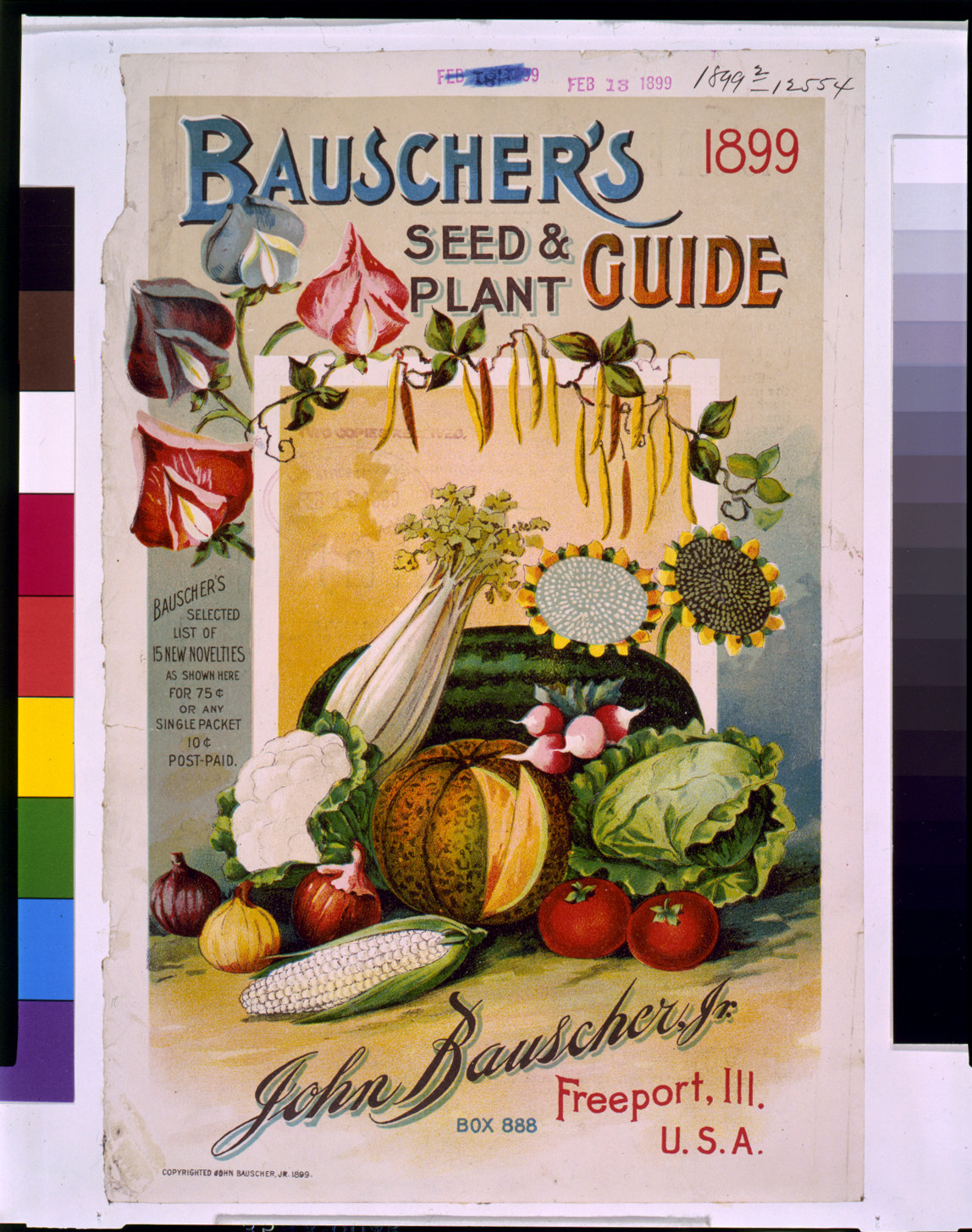 Bauscher's seed & plant guide, 1899 — antique lithograph