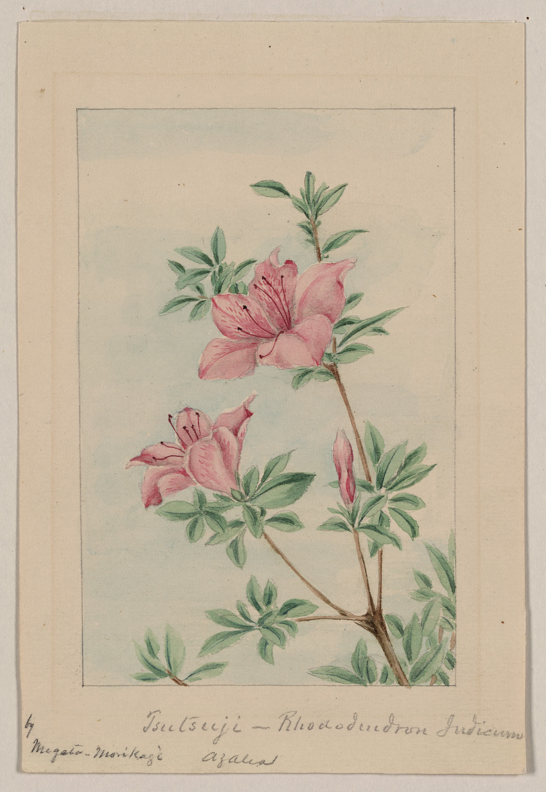 [Japanese drawing], 1750 — historic drawing