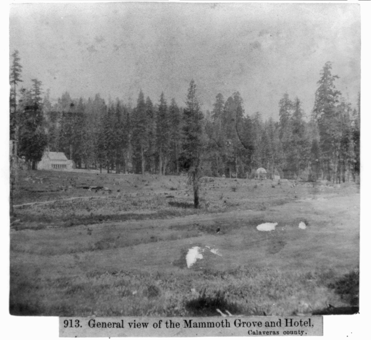 General View of the Mammoth Grove and Hotel, Calaveras County, [published 1866] — historic photograph