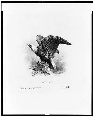 Bald eagle / American Bank Note Co.