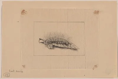 [Japanese drawing]