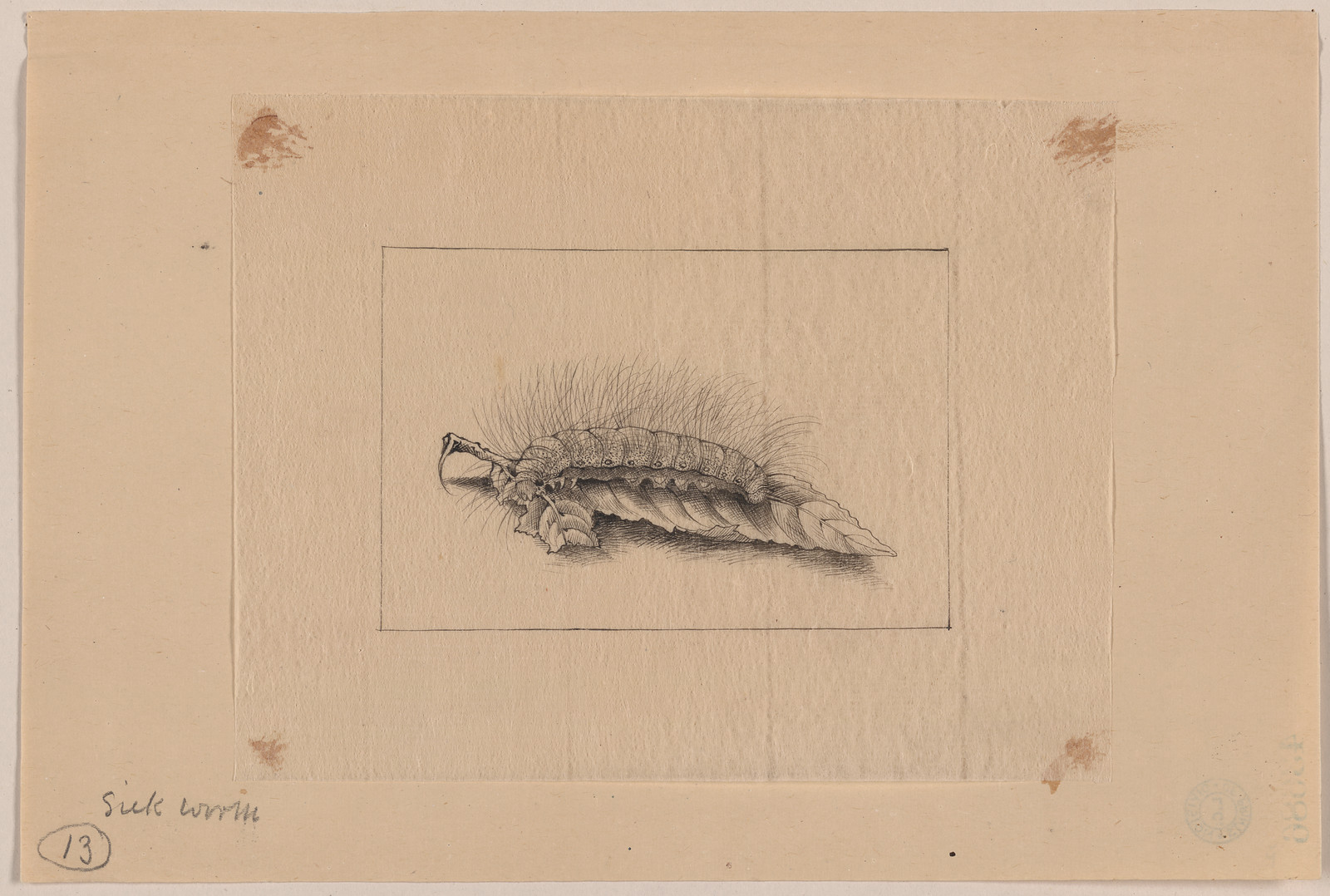 [Japanese drawing], 1750 — historic drawing