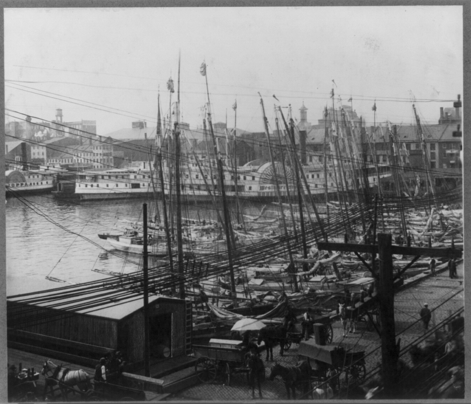 Maryland - Baltimore - Steamer JOPPA and small craft at anchor, [no date recorded on caption card]v — historic photograph