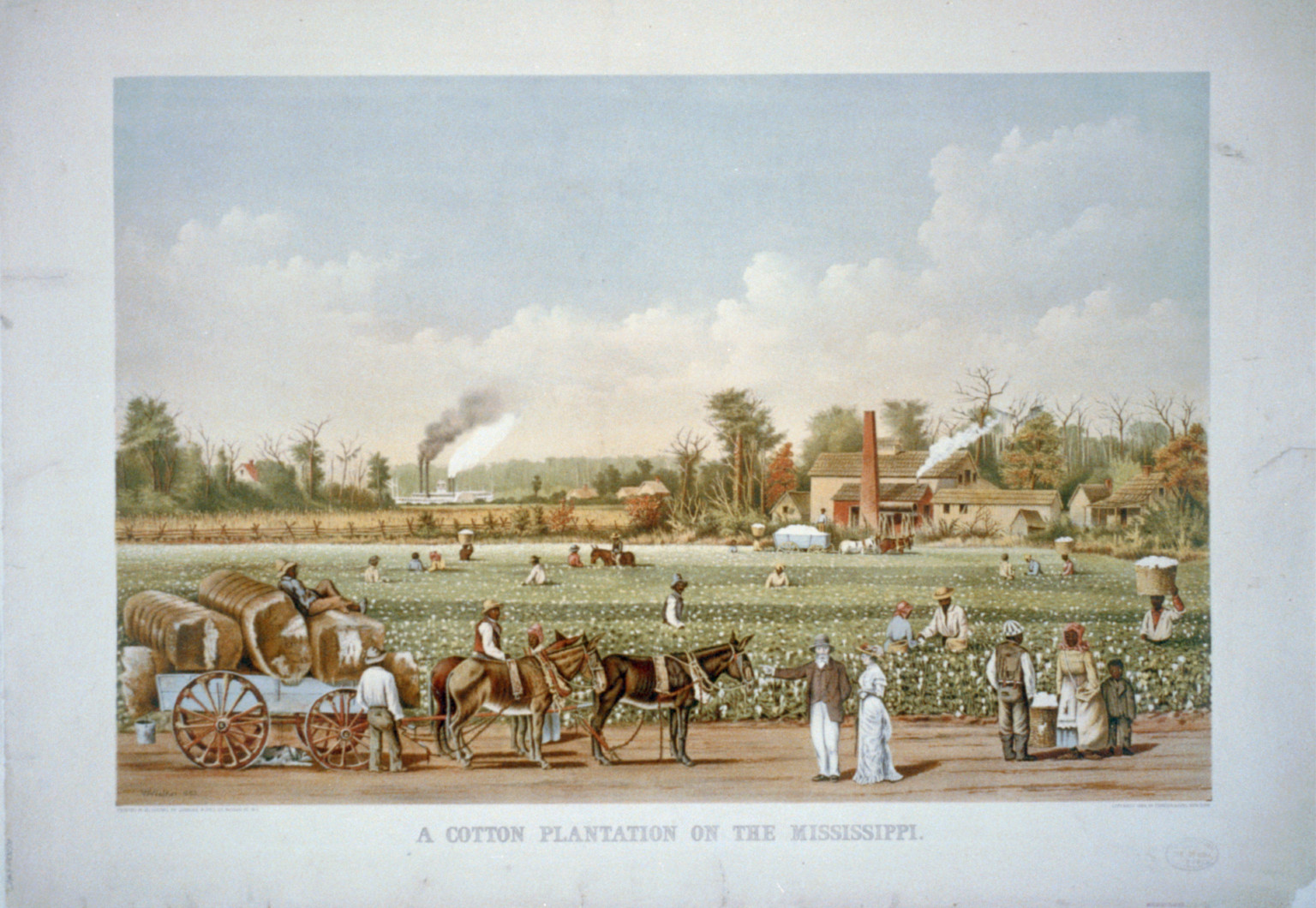A cotton plantation on the Mississippi, [New York] : Currier & Ives, 1884. — antique lithograph