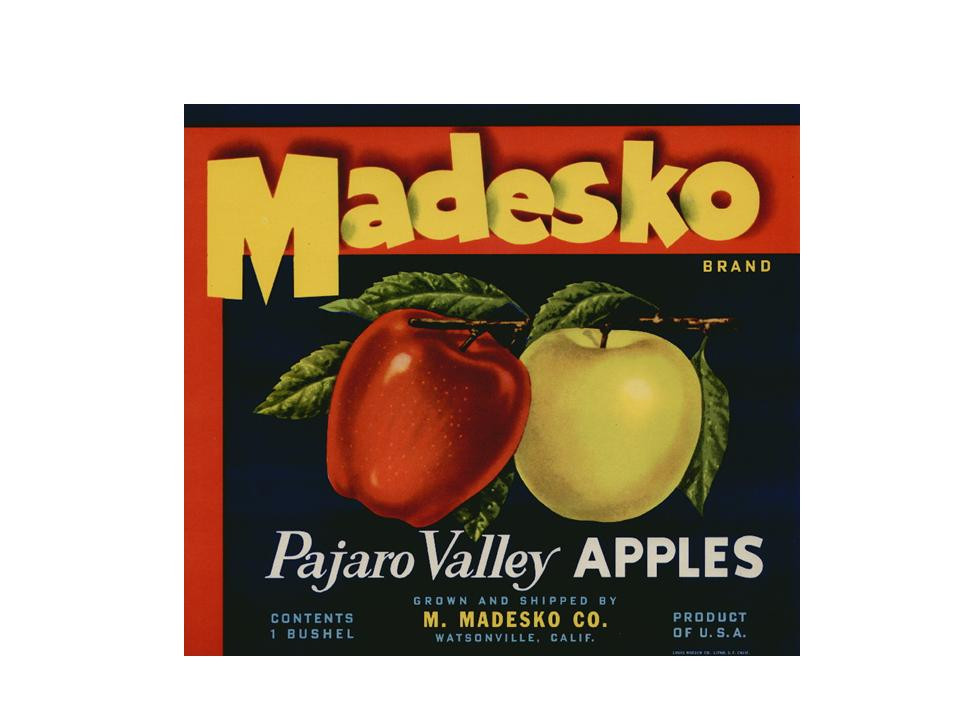 Madesko Brand Pajaro Valley Apples crate label — historic image