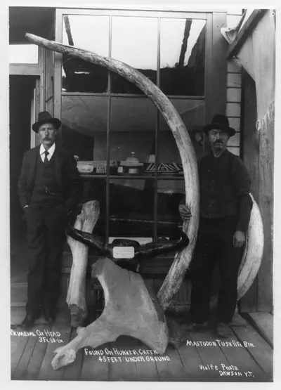 Canada--Yukon Territory--Dawson / Wolfe photo, Dawson, Y.T.