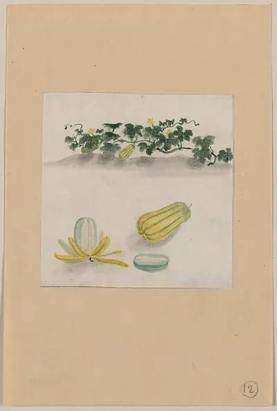 [Japanese drawing]
