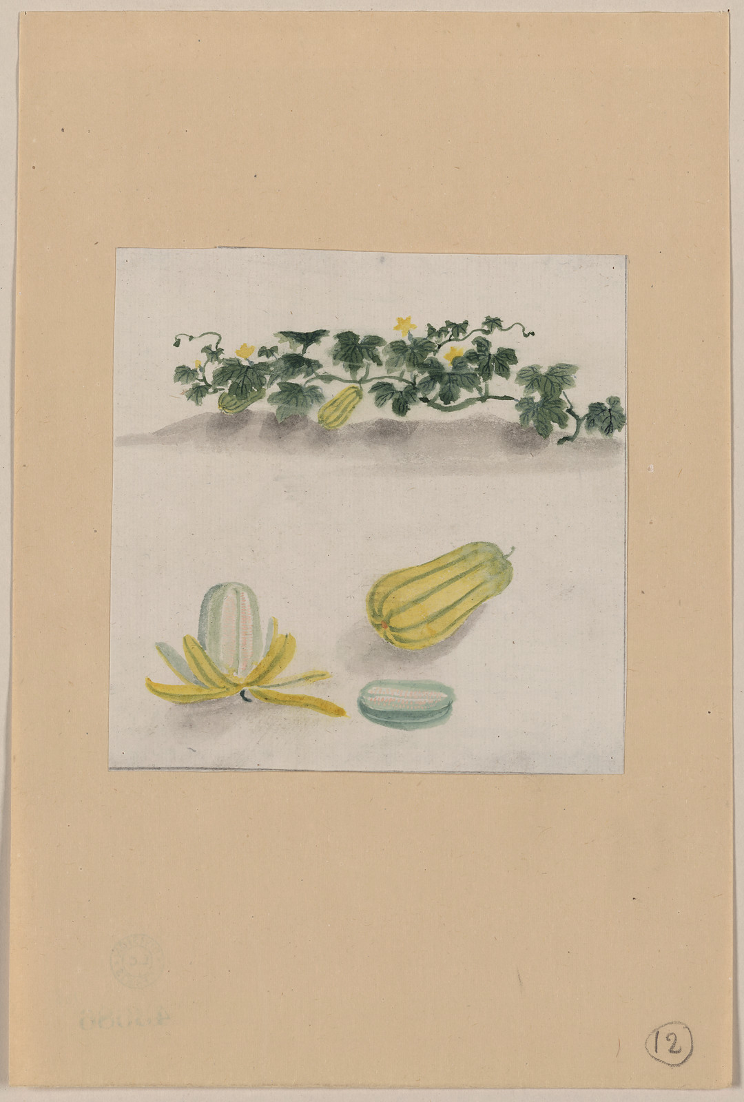[Japanese drawing], 1750 — historic drawing