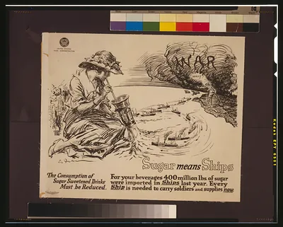 Sugar means ships--The consumption of sugar sweetened drinks must be reduced For your beverages 400 million lbs. of sugar were imported in ships last year--Every ship is needed to carry soldiers and supplies now / E. Fuhr The Carey Printing Company New York.