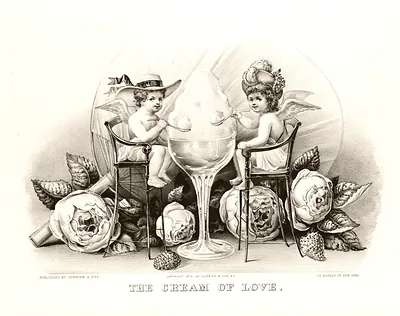 The Cream of Love