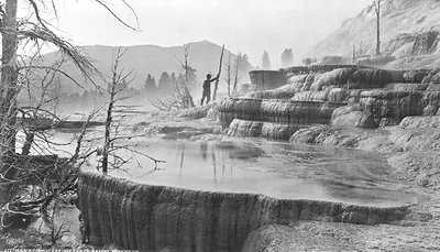 Scenery of the Yellowstone National Park--Mammoth Hot Springs, lower basins, looking up