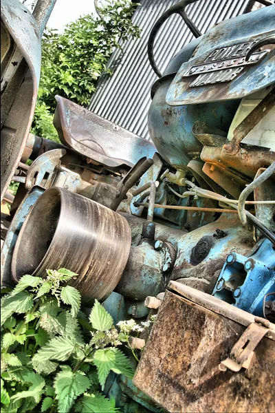 Rusted derelict blue tractor with nettles in foreground