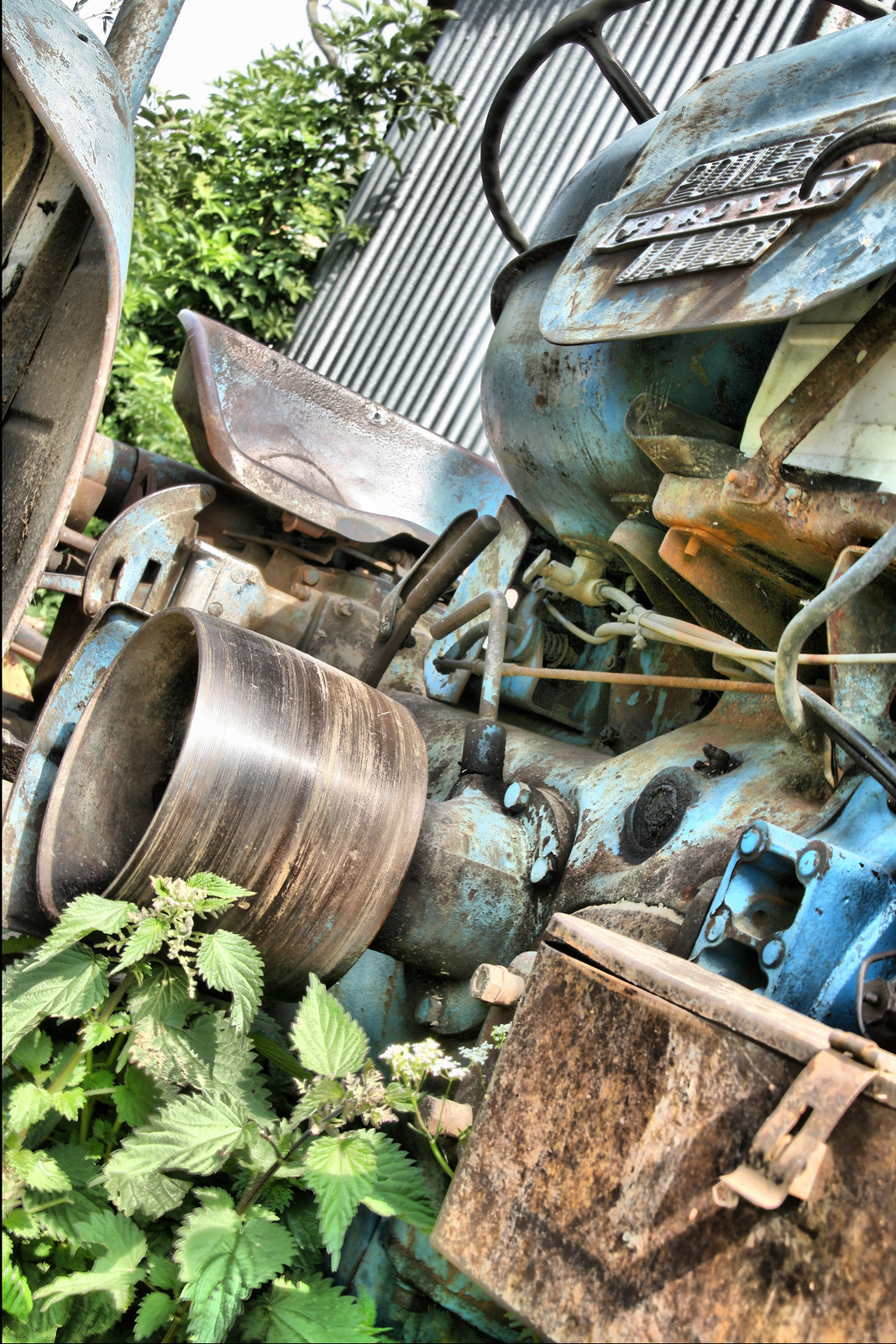 Rusted derelict blue tractor with nettles in foreground — historic image