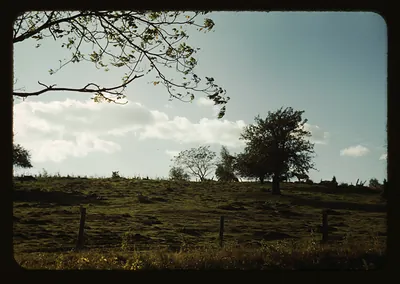 field - pasture