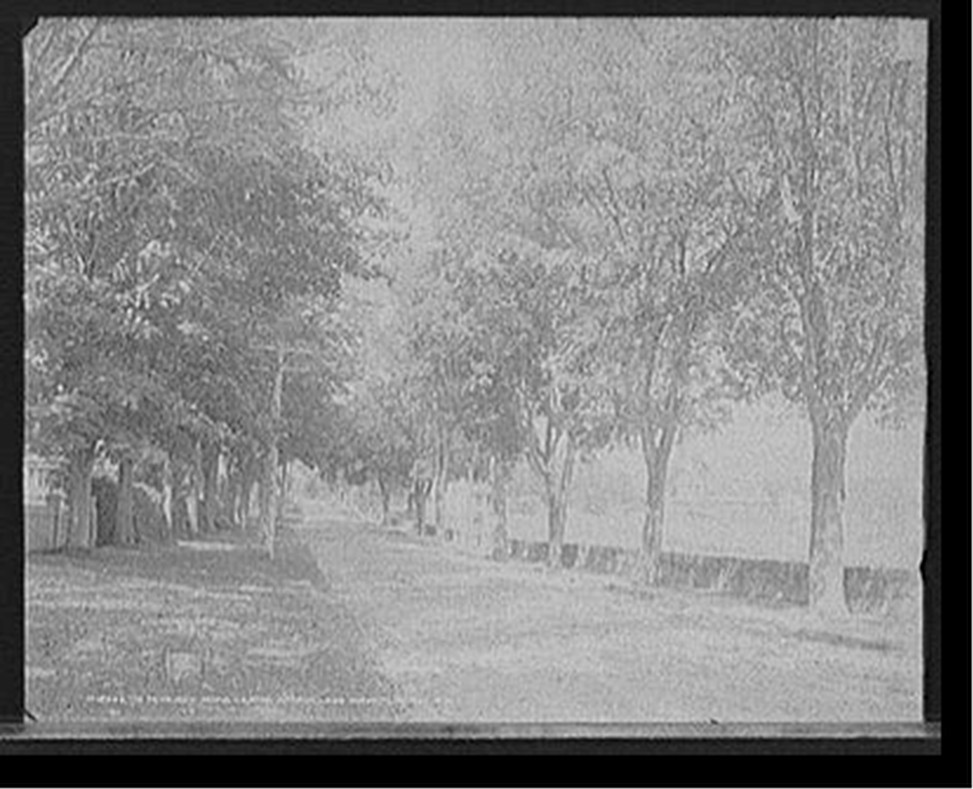 The Meredith Road, Centre Harbor, Lake Winnipesaukee, N.H., c1906. — historic photograph