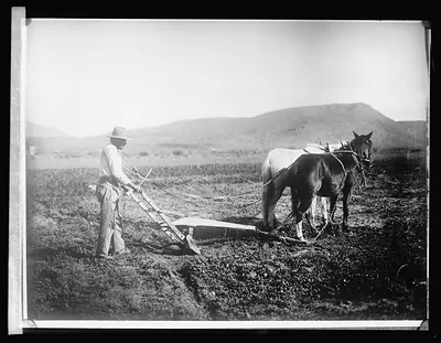 Salt River Project, [Arizona] Sacator Indian Reservation
