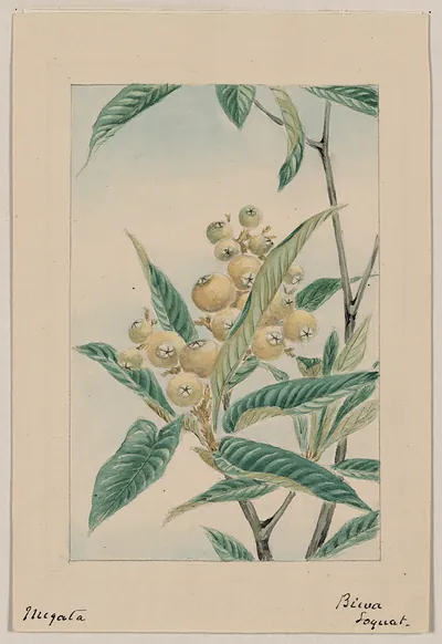 [Japanese drawing]