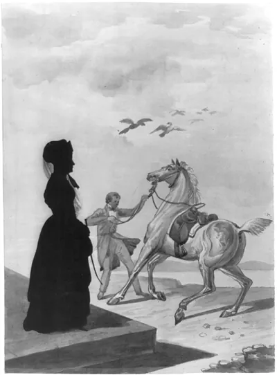 The lady and the unruly horse