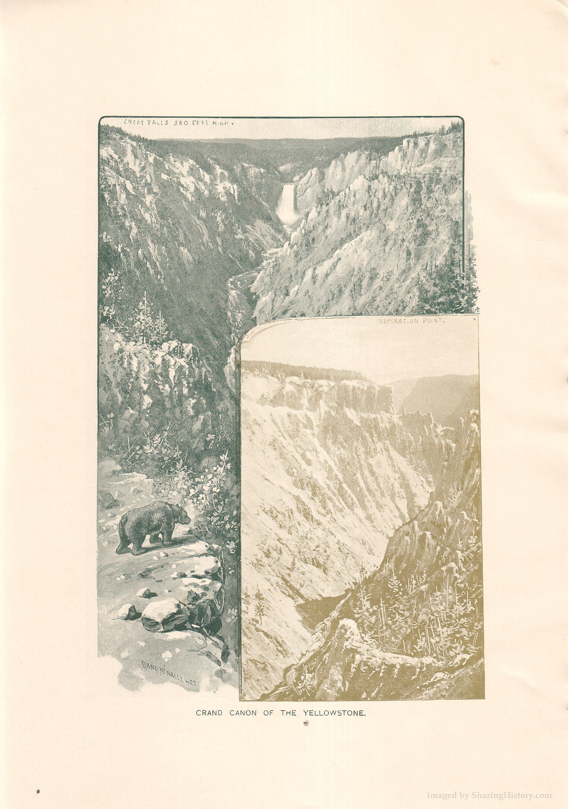 Grand Canon of the Yellowstone, two views with bear — historic image