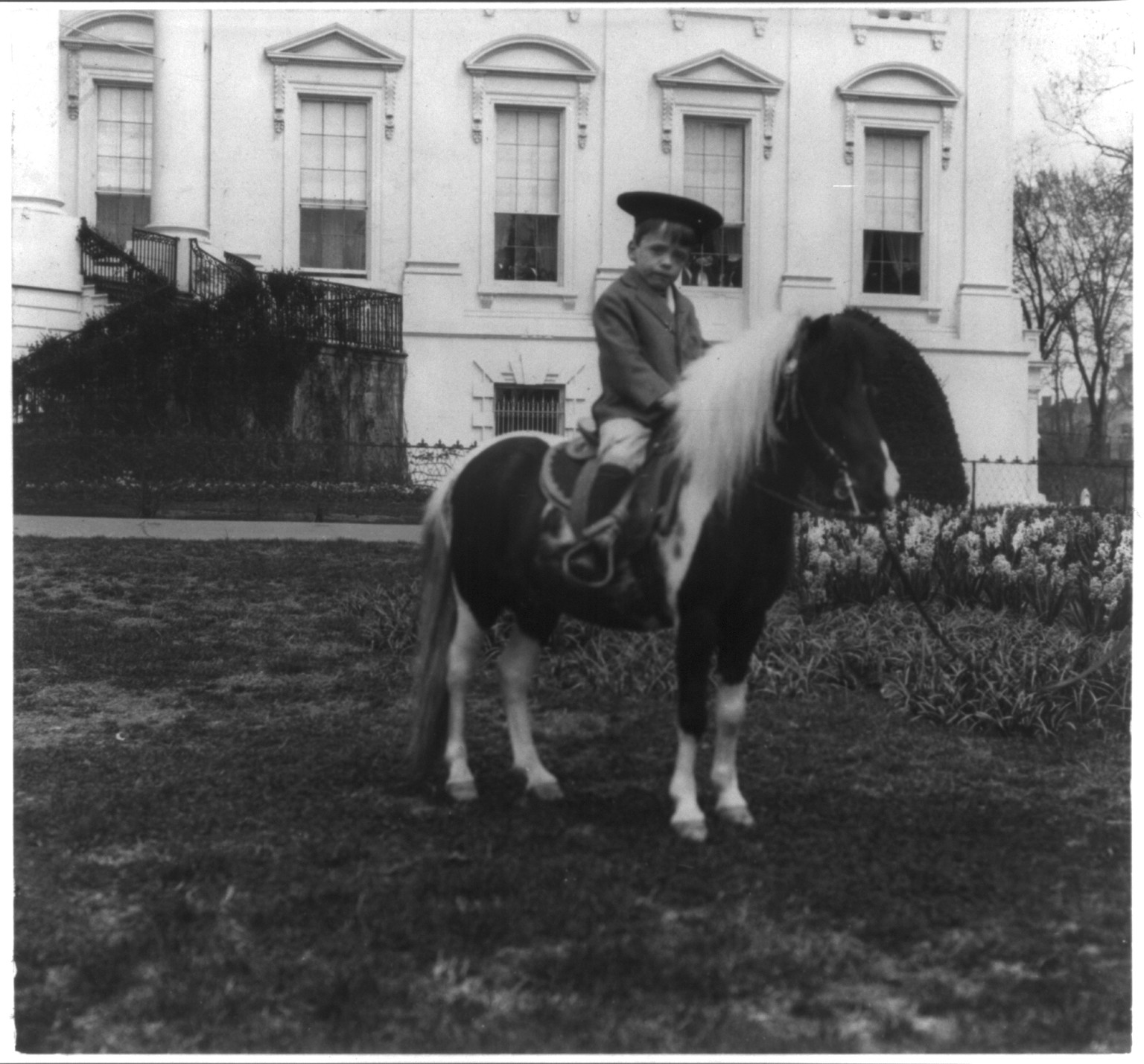 Quentin Roosevelt on a pony, c1902 June 17. — historic photograph