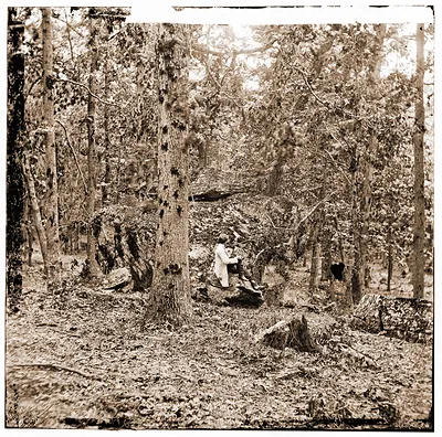 Gettysburg Pennsylvania. Battered trees on Culps Hill