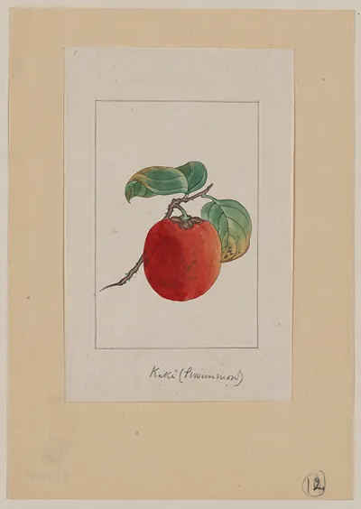 [Japanese drawing]