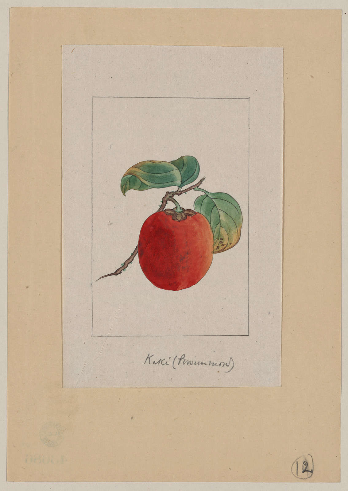 [Japanese drawing], 1750 — historic drawing