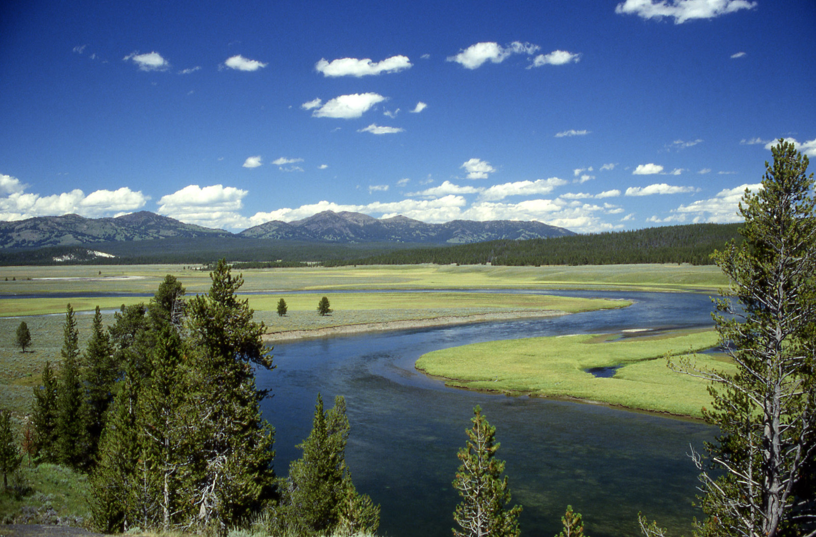 River winding through a green valley below mountains and pines — historic image