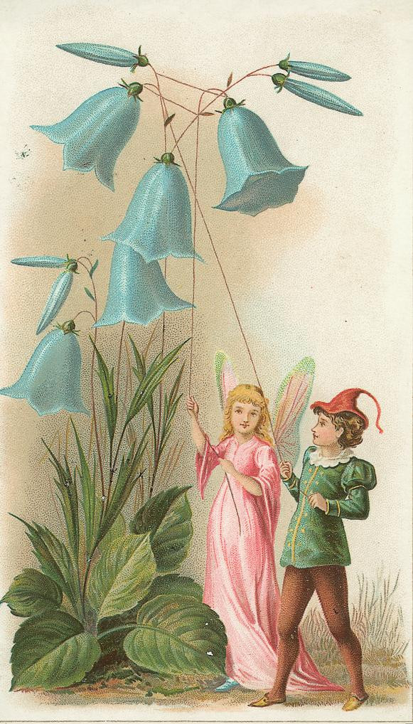 Fairy and elf beside blue bellflowers — historic image