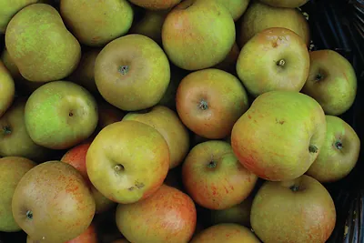 Close-up of green and red apples in a basket